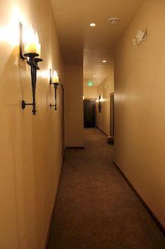 The Williston Boutique Hotel Exterior photo